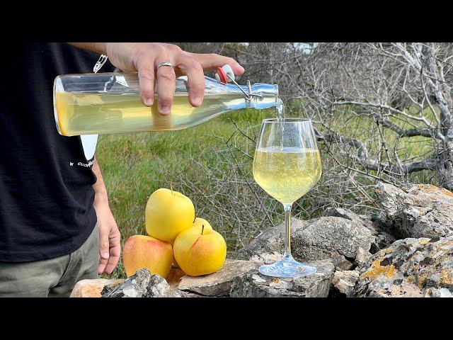 How to make HARD APPLE CIDER at home with 10% of Alcohol - Homemade Apple Wine