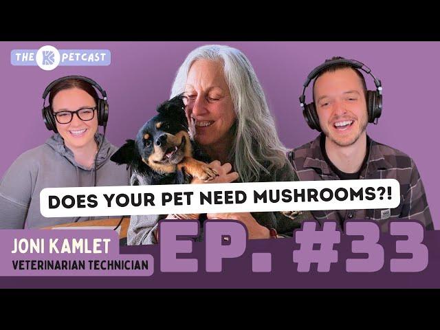 DOES YOUR PET NEED MUSHROOMS?! The BK Petcast w/ Joni Kamlet of Real Mushrooms