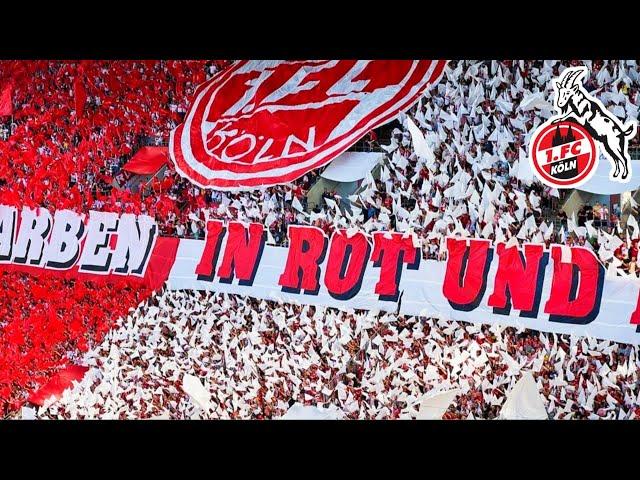 Tifo FC Koln Ultras in First Match Bundesliga || Köln vs Schalke 04 (07.08.2022)