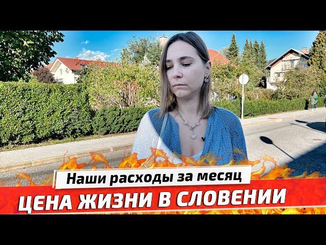 Расходы за месяц в Словении: Цены на Жильё, Продукты, Бензин, Медицину, Одежду, Школу