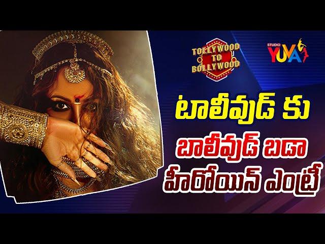 టాలీవుడ్ కు బాలీవుడ్ బడా హీరోయిన్ ఎంట్రీ.. | Tollywood To Bollywood | Studioyuva