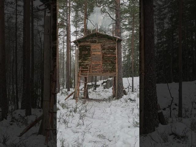 Building a bushcraft treehouse in freezing conditions