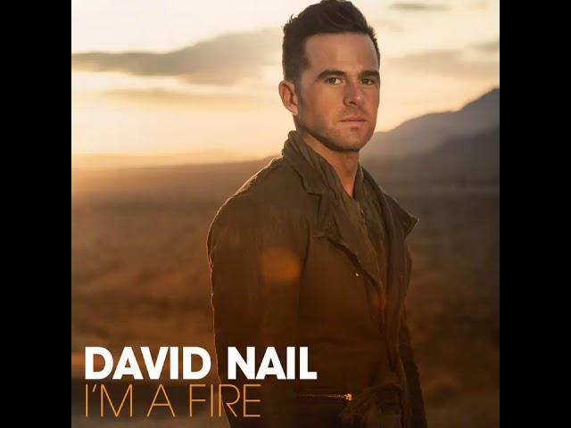 David Nail - Whatever she's got