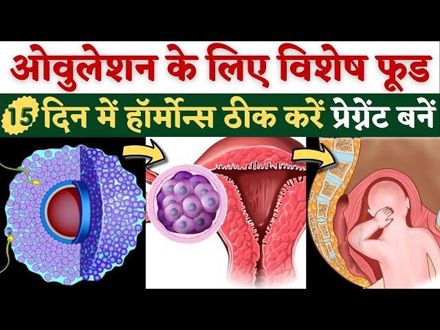 Ovulation के लिए विशेष Food 15 दिन में हॉर्मोन्स ठीक, प्रेग्नेंट बनें - Food to Boost Ovulation in