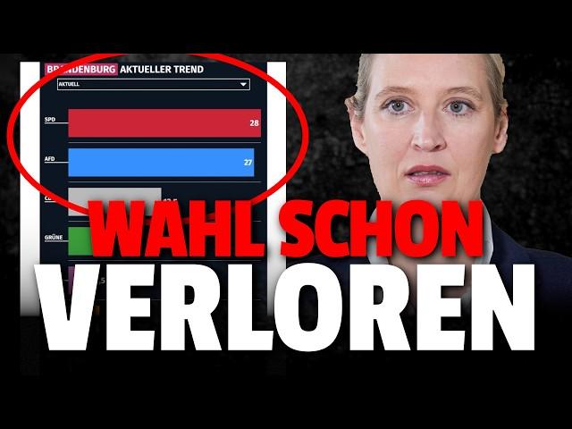 EILT: AfD FÜHRT DEUTLICH laut Zahlen vom Landeswahlleiter