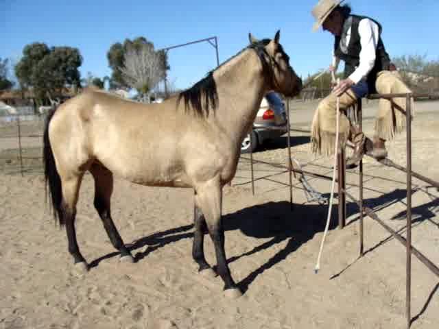 Mike Thomas & Buckshot: Intro Fence work