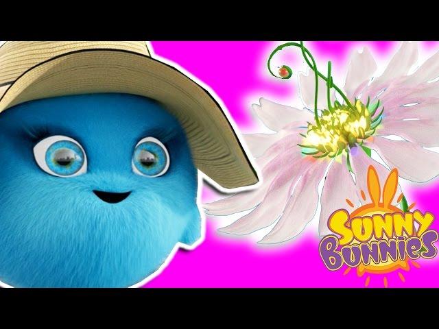 Cartoons For Children | Sunny Bunnies THE SUNNY BUNNIES MAGIC FLOWER | Funny Cartoons For Children