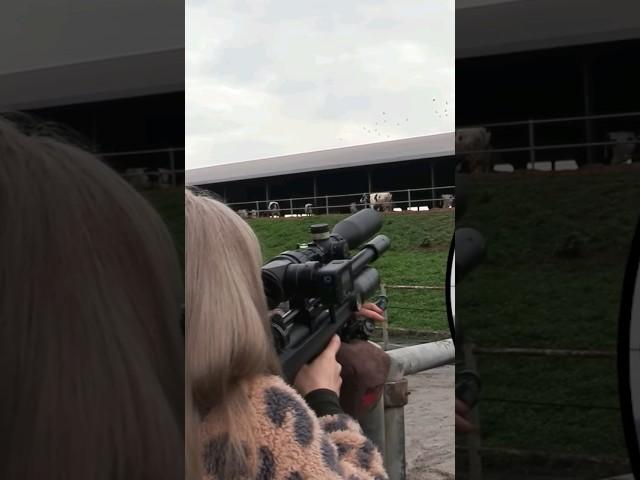 Blonde and deadly! #prohunter #pestcontrol #viral #video #shorts
