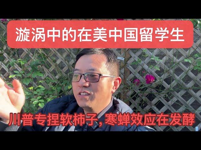 川普专捏软柿子，寒蝉效应在发酵——漩涡中的在美中国留学生