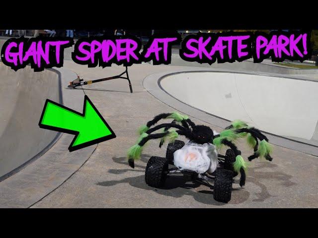 Spooky RC Skatepark Takeover