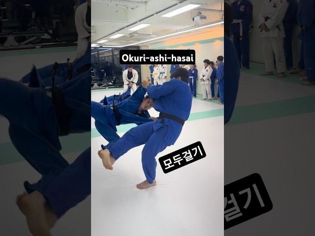 모두걸기 Okuri-ashi-harai 전 유도 국가대표 함영진 선수 #유도 #주짓수 #judo #judô #judovideo #ippon #bjj #jiujitsu #柔道