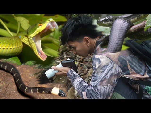 MAKAKAMANDAG NA AHAS ANG NAENCOUNTER NI COBRA PRINCE
