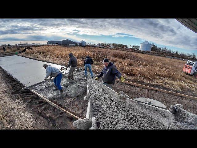 Moving Cows and Pouring the Big Bunkline