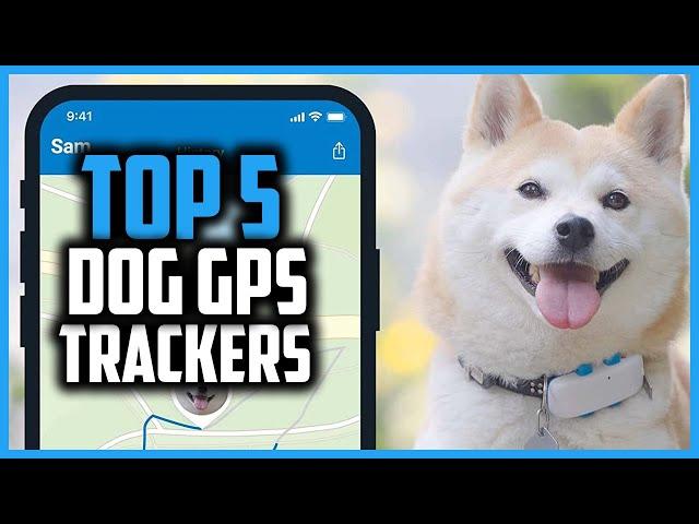  Top 5 Best Dog GPS Trackers of 2024