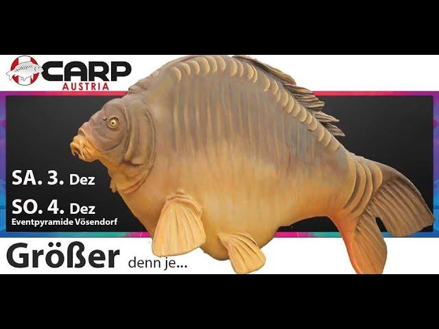 Catch Carp Hungary - Carp Austira 2016
