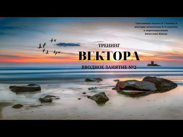 Вводное занятие №2. Тренинг  "Вектора". Проект Вячеслава Юнева