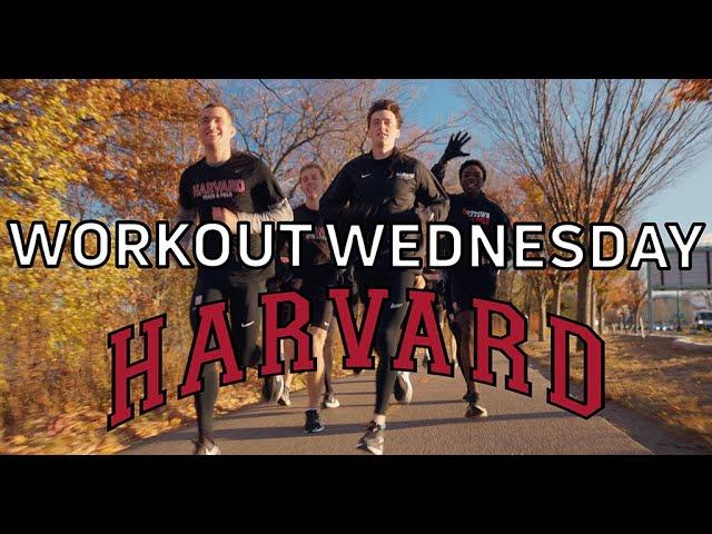 Harvard's Trophy-Chasing NCAA Workout | Workout Wednesday