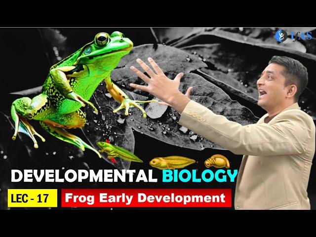 CSIR NET JUNE 2025 I Developmental Biology I Lecture 17 I Frog Early Development  I IFAS