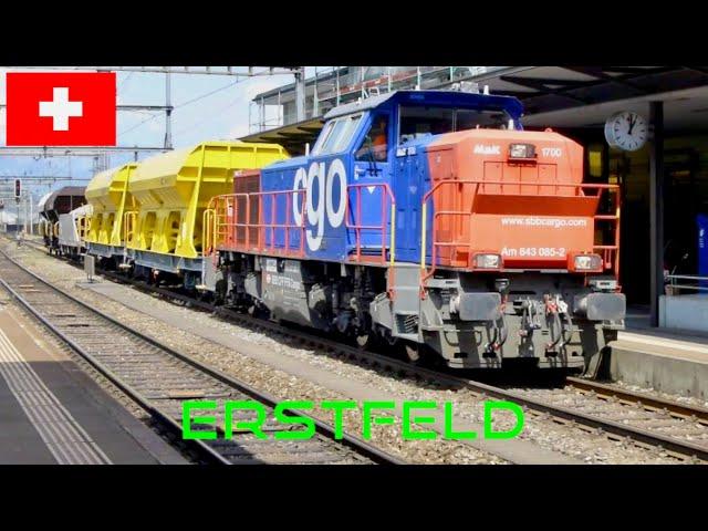 Swiss Trains: Gotthard Railway - Freight at Erstfeld