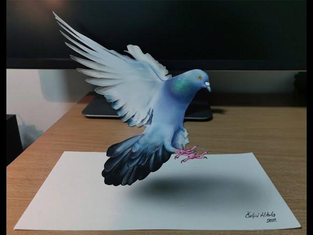 3D Pigeon drawing by Nikola Čuljić