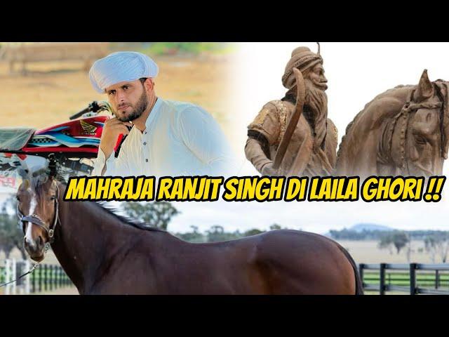 Asp_e_ Laila Mahraja Ranjit Singh Di Ghori //Zaibi Hanjra #zaibihanjra #punjabi