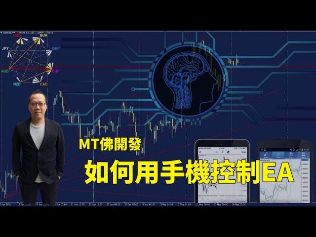 【MT佛开发】｜手机控制EA｜如何用手机摇钱术｜#MT4 #MT5｜ 绝密公开 【#MT佛老高 #EA程式交易 #我要学积木开发 #自主交易#EABuilder】(教学使用)