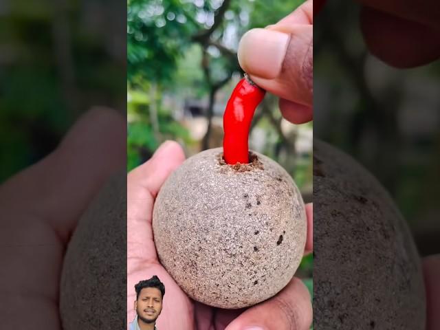 Mouth-Watering Masala Woodapple (Kodbel) | #shorts #food #masala #woodapple