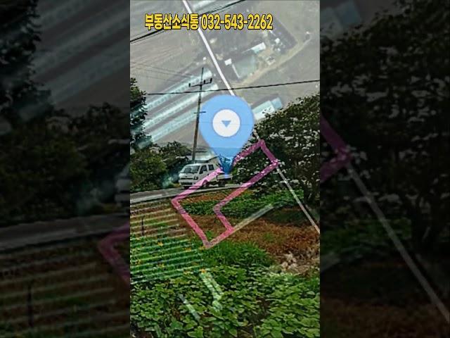 [급매물808] 가까운 강화 초지리 땅, 시세이하
