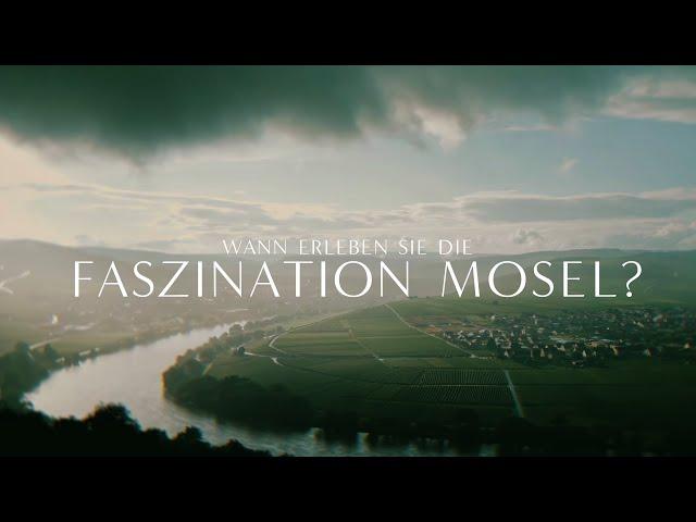 Highlights an der Mosel - Faszination Wein erleben