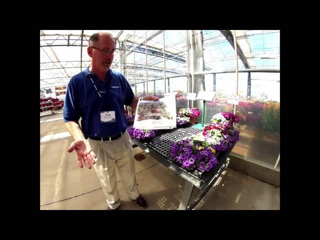 Spring Trials: A virtual tour from Mark Seguin of Sakata Ornamentals