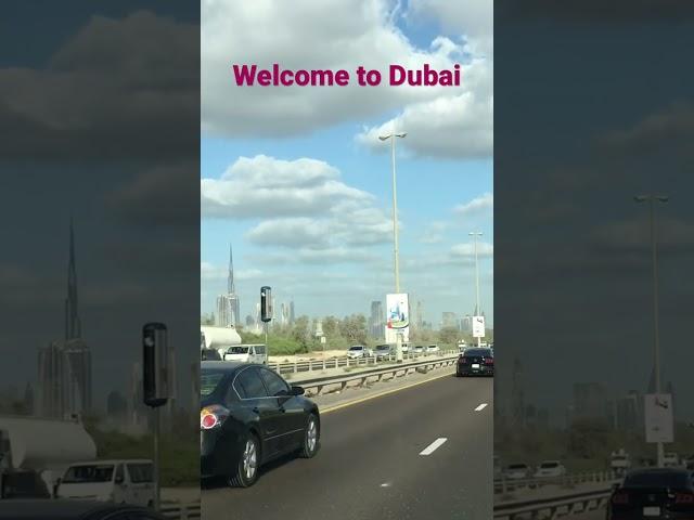 Entering Dubai  #Dubai #travel #uae #shorts #alain #shorts #viral#gstarsmedia