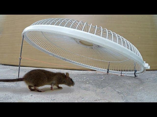 Electric fan guard Mouse/Rat Trap