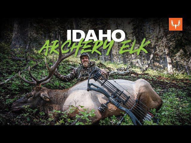 Idaho Archery Elk with Jason Phelps