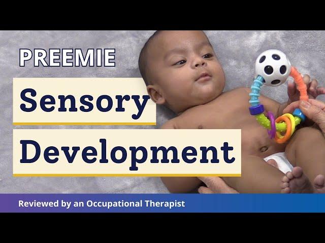 How Does a Premature Baby Develop Their Senses? | Preemie Sensory Development Explained