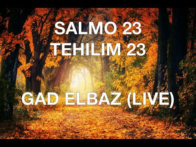 SALMO 23 GAD ELBAZ EN VIVO LYRICS ESPAÑOL FONETICA HEBREA