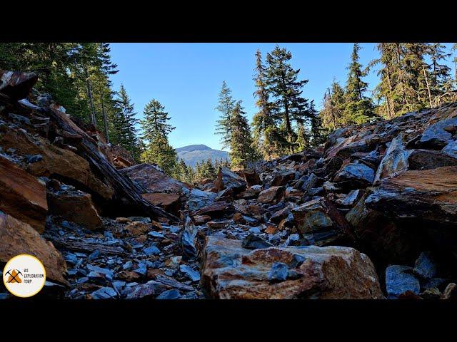 Another Large Copper Showing Found On A New Logging Road!