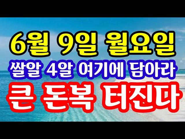 "6월 9일 월요일 대박 터진다! 쌀알 4알 여기에 담아라! 황금닭이 돈복의 황금알을 낳는다" 지금 돈복 터지는 풍수 기원 접수중! 1등 가장 많이 터지는 노원구 스파로또를 선물!