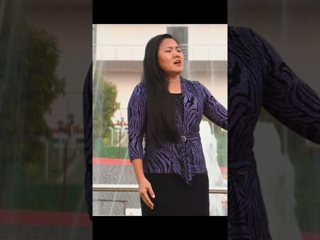 Namheile R. Zeliang | Tumar Jibon | Composed by Dilip Singh