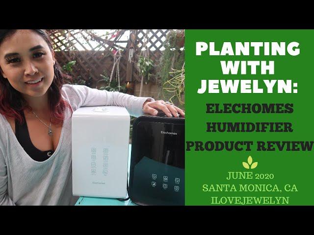 Planting with Jewelyn: Elechomes Humidifier Product Review | June 2020 | ILOVEJEWELYN