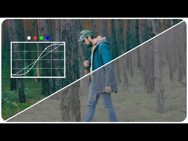 Mastering CURVES Tool : Cinematic Color Grading Tutorial (Premiere Pro)