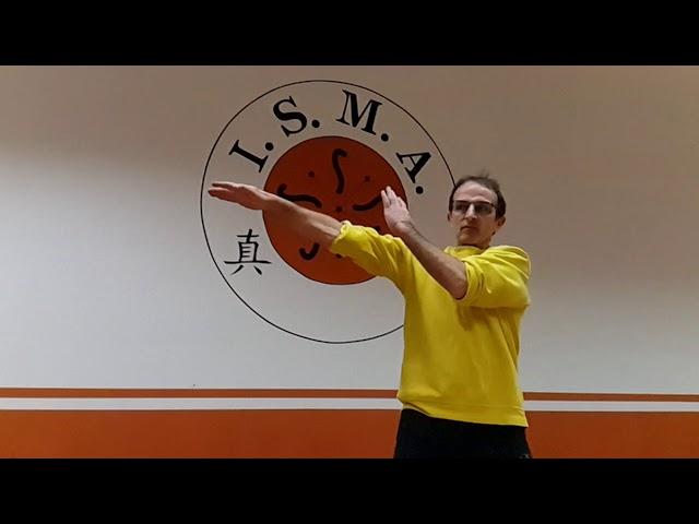 WyngTjun/Wingchun (WT) with Dai-Sifu Hans Remmel