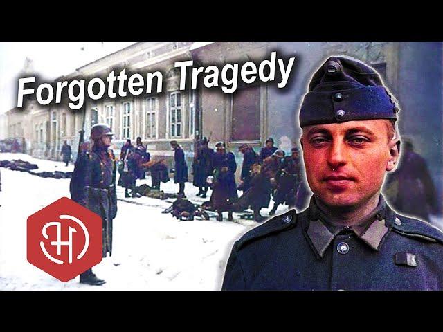 The Novi Sad Raid (1942) – Hungarian Massacre in Serbia during World War II