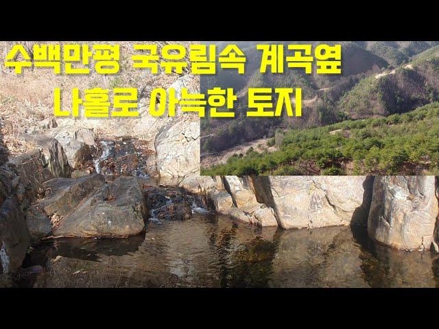 수백만평 국유림속 계곡옆 토지 #삼척부동산 #삼척땅