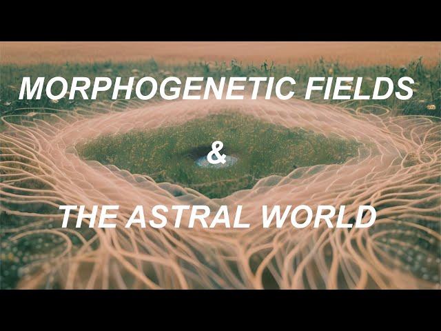 Morphogenetic Fields & The Astral World