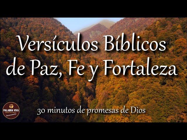 Versículos  Bíblicos que te llenarán de Paz, Fe y Fortaleza | Biblia hablada | Bible audio