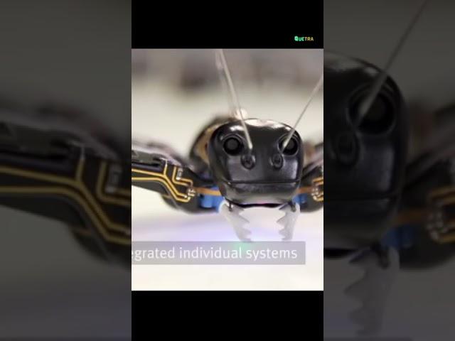 Festo Camera Spy Ants   #futuretech #spy #military