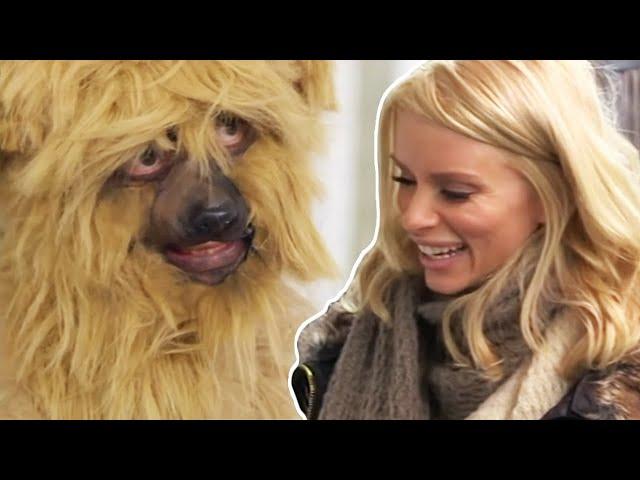 Man Convinces Celebrity He's A Dog -  Lee Kern's Celebrity Bedlam | Absolute Jokes