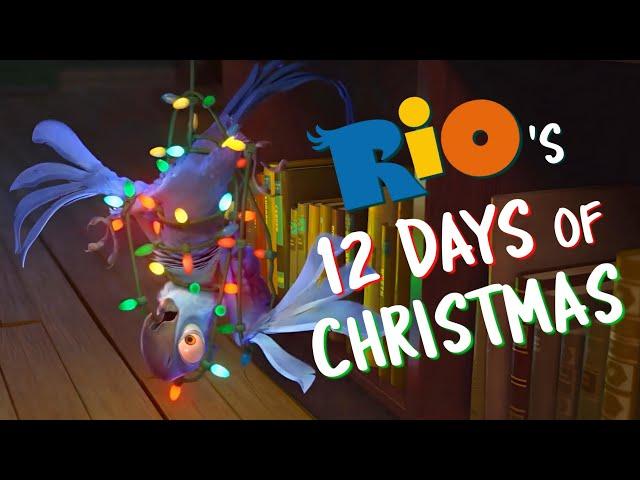 Rio's 12 Days Of Christmas!