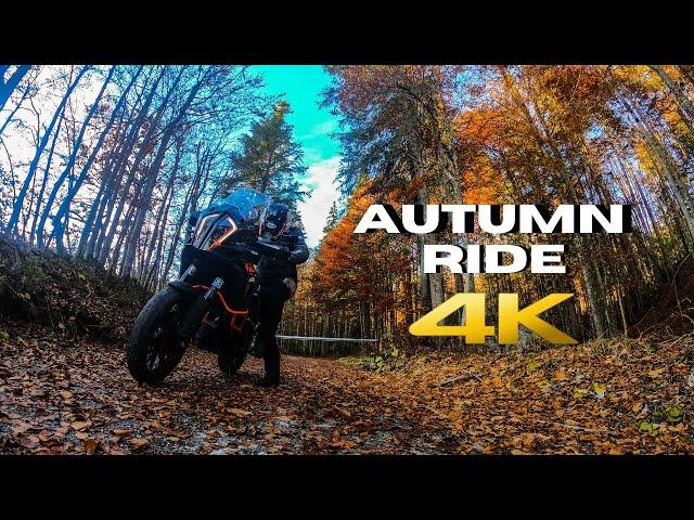 Autumn Rides are AWESOME - 4K