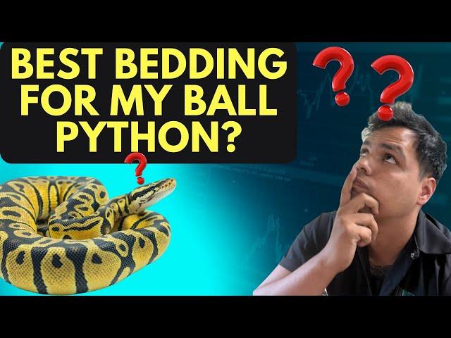 WHATS THE BEST BEDDING FOR YOUR BALL PYTHON